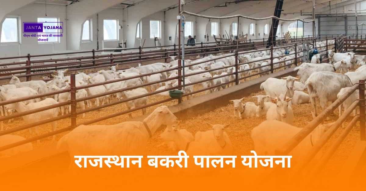 rajasthan-bakri-palan-yojana